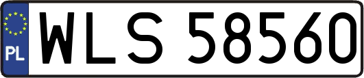 WLS58560