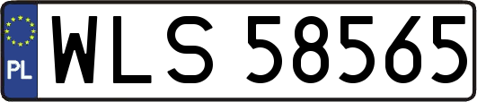 WLS58565