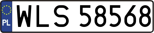 WLS58568
