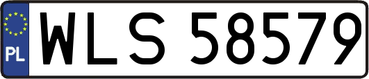 WLS58579