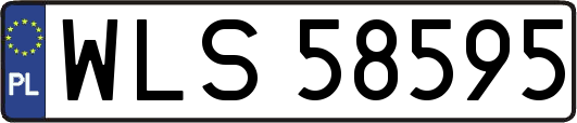 WLS58595