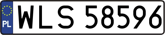 WLS58596