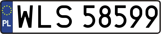 WLS58599
