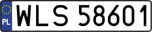 WLS58601