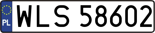 WLS58602