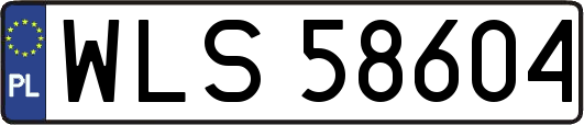 WLS58604