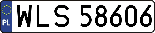 WLS58606