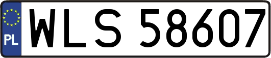 WLS58607