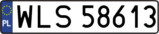 WLS58613