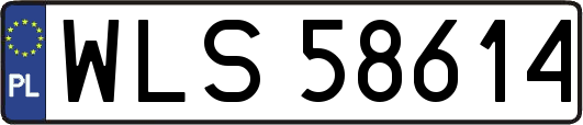 WLS58614