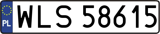 WLS58615
