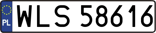 WLS58616
