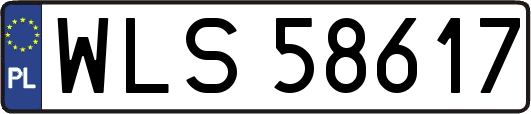WLS58617