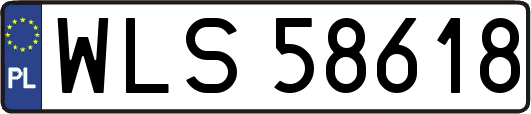 WLS58618