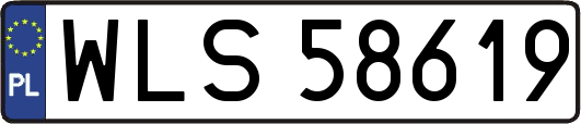 WLS58619