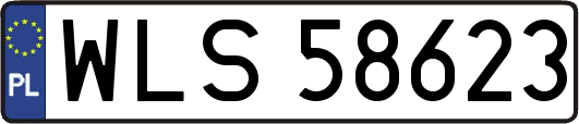 WLS58623