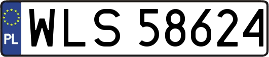 WLS58624