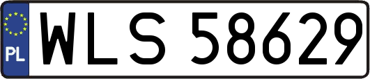 WLS58629