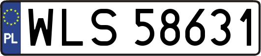 WLS58631