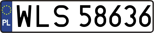 WLS58636