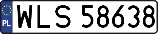 WLS58638