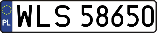 WLS58650