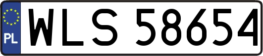 WLS58654