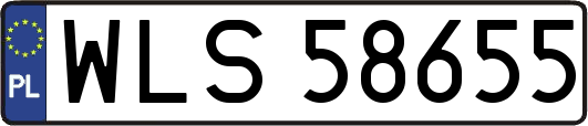 WLS58655