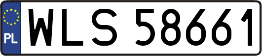 WLS58661