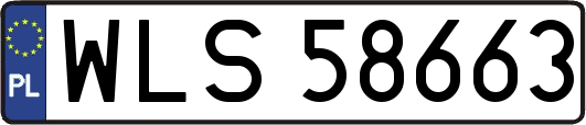 WLS58663