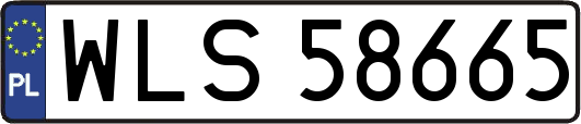 WLS58665