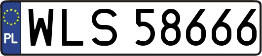 WLS58666