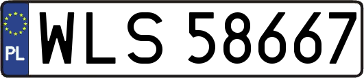 WLS58667