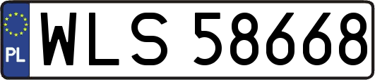 WLS58668