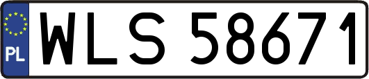 WLS58671