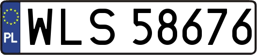 WLS58676