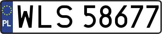 WLS58677