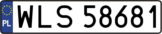 WLS58681