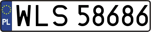 WLS58686