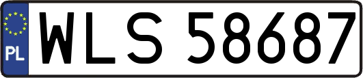 WLS58687
