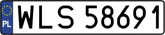 WLS58691