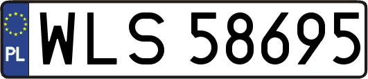 WLS58695