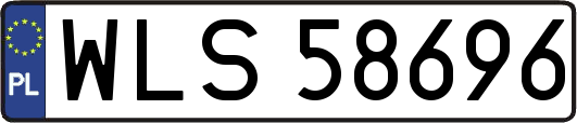 WLS58696