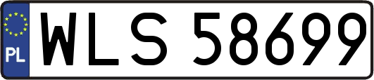 WLS58699