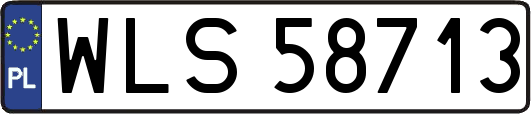 WLS58713