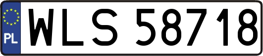WLS58718