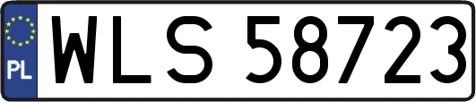 WLS58723