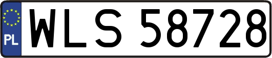 WLS58728