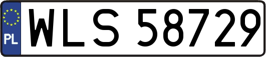 WLS58729