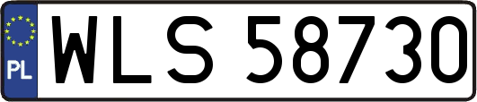 WLS58730